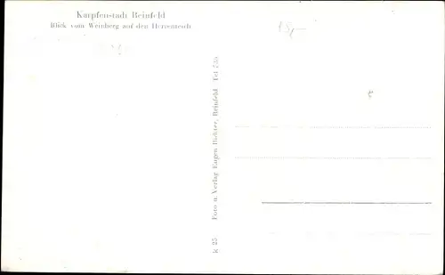 Ak Reinfeld in Holstein, Herrenteich, Panorama