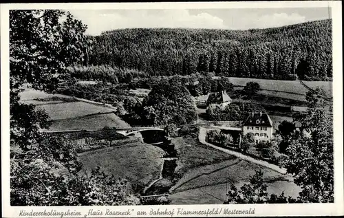 Ak Flammersfeld im Westerwald, Kindererholungsheim Haus Roseneck, Wald, Vogelschau