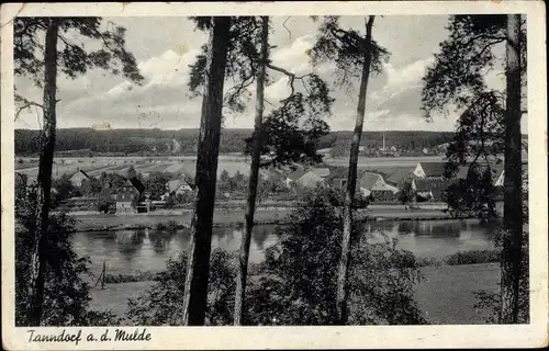 Ak Tanndorf Colditz in Sachsen, Panorama, Muldepartie