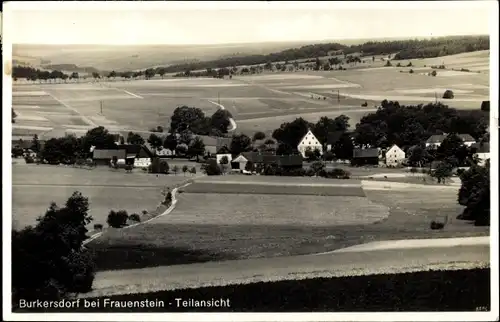 Ak Burkersdorf Frauenstein im Erzgebirge, Teilansicht des Ortes, Felder