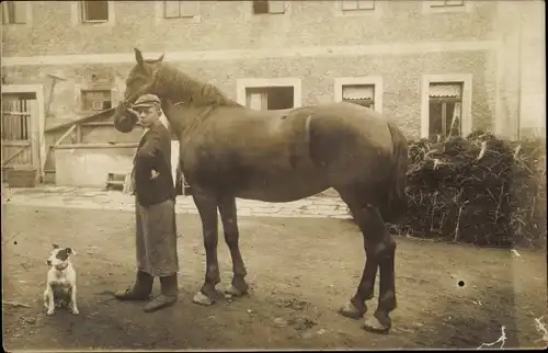 Foto Ak Krummenhennersdorf Halsbrücke in Sachsen, Gutshof Arno Philipp, Mann mit Pferd, Terrier