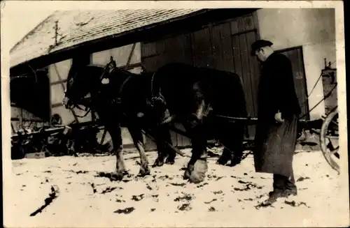 Foto Ak Szene auf dem Bauernhof, Pferde, Pferdestall