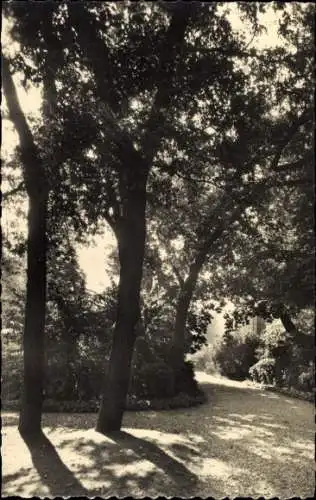 Ak Boulogne sur Seine Hauts de Seine, Une Allee du Parc