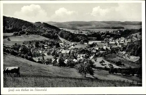 Ak Weiher Mörlenbach im Odenwald Hessen, Panorama