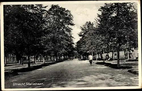 Ak Utrecht, Maliebaan, Straßenansicht, Allee, Fahrrad