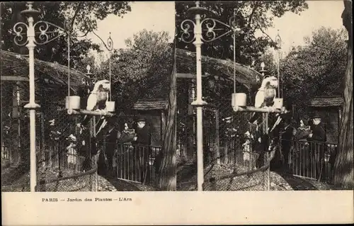 Stereo Ak Paris, Jardin des Plantes, L'Ara