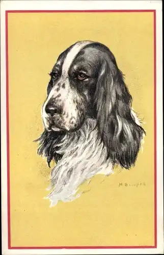 Künstler Ak Cooper, M. B., Cocker Spaniel, Hundeportrait