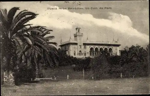 Ak Tunis Tunesien, Le Belvedere, un coin du parc