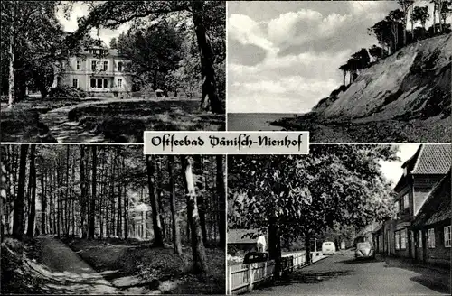 Ak Dänisch Nienhof Schwedeneck in Schleswig Holstein, Hochufer, Strassenansicht, Schloss, Waldpartie