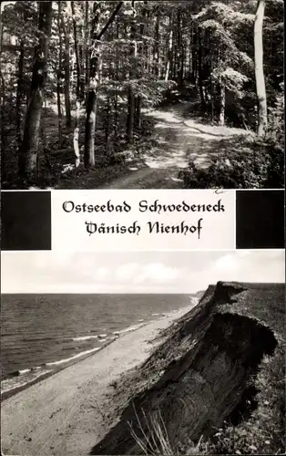 Ak Dänisch Nienhof Schwedeneck in Schleswig Holstein, Waldpartie, Hochufer, Strand, Meer