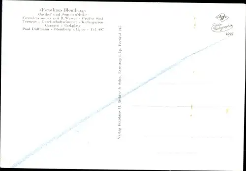 Ak Blomberg im Kreis Lippe, Forsthaus Blomberg, Innenansicht