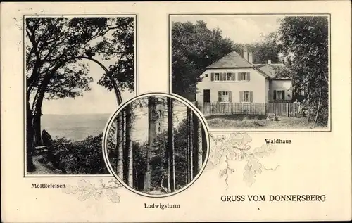 Ak Dannenfels am Donnersberg Pfalz, Waldhaus, Ludwigsturm, Moltkefelsen