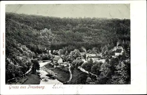 Ak Treseburg Thale im Harz, Ortspartie