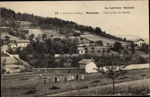 Ak Marbache Meurthe-et-Moselle, Villas et Bois des Roches