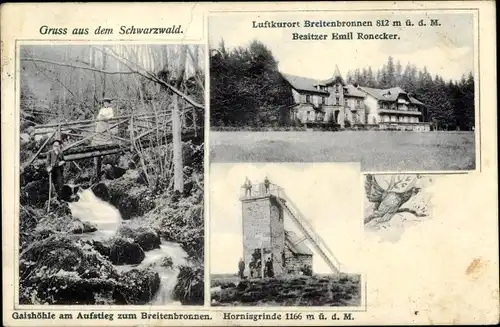 Ak Breitenbronnen im Schwarzwald, Hornisgrinde, Gaishöhe, Gasthaus