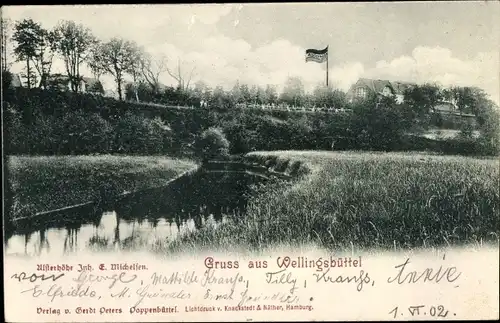 Ak Hamburg Wandsbek Wellingsbüttel, Uferpartie, Alsterhöhe, Bes. E. Michelsen