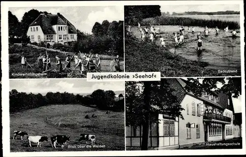 Ak Plön in Holstein, Jugendkolonie Seehof der Heilsarmee, Badestrand, Blick über die Weiden
