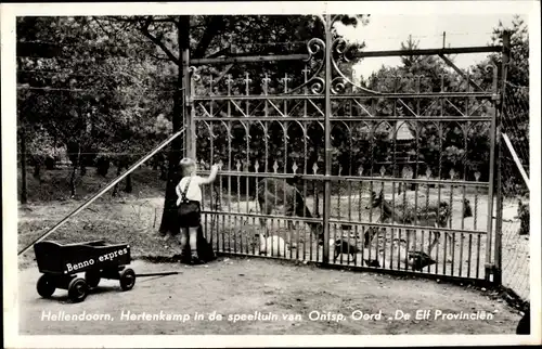 Ak Hellendoorn Overijssel, Hertenkamp in de Speeltuin van Ontsp Oord De Elf Provencien