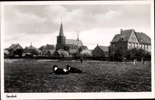Ak Sonsbeck am Niederrhein, Blick zur Kirche, Kühe