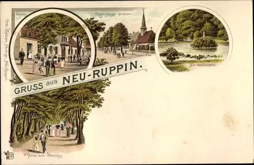 Litho Neuruppin in Brandenburg, Rheinsberger Straße, Allee zum Weinberg, Weinberg, Goldfischteich