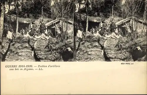 Stereo Ak Position d'artillerie sous bois en Argonne, I WK