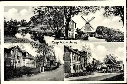 Ak Tarp in Schleswig Holstein, Windmühle, Ortsansichten