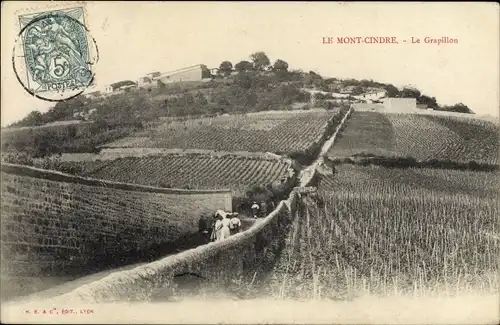 Ak Saint Cyr au Mont d'Or Rhône, Le Mond Cindre, Le Grapillon