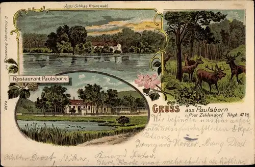 Litho Berlin Wilmersdorf Grunewald, Restaurant Paulsborn, Jagdschloss, Wild