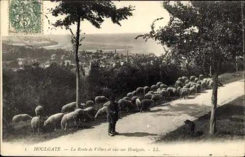 Ak Houlgate Calvados, La Route de Villers et vue sur Houlgate