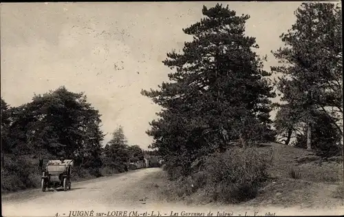 Ak Juigné sur Loire Maine et Loire, Les Garennes