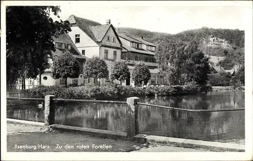 Ak Ilsenburg Harz, Blick zum Hotel zu den roten Forellen