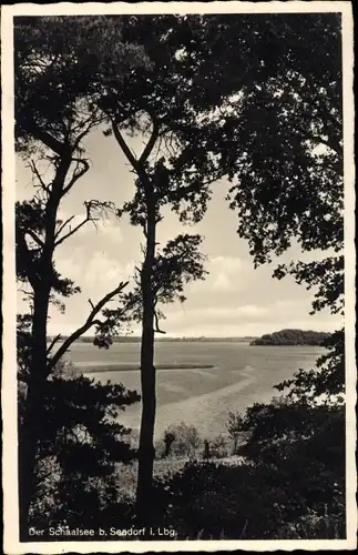 Ak Seedorf in Lauenburg, Der Schaalsee