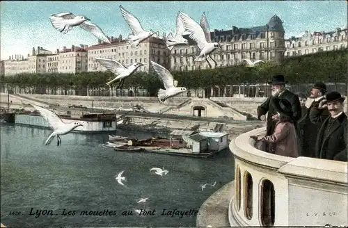 Ak Lyon Rhône, Les mouettes au Pont Lafayette