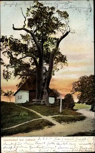 Ak Israelsdorf Sankt Gertrud Hansestadt Lübeck, Baum mit Haus