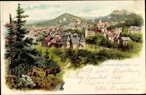 Litho Blankenburg am Harz, Gesamtansicht