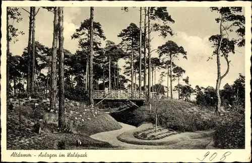 Ak Dąbie Szczecin Altdamm Stettin Pommern, Anlagen im Waldpark