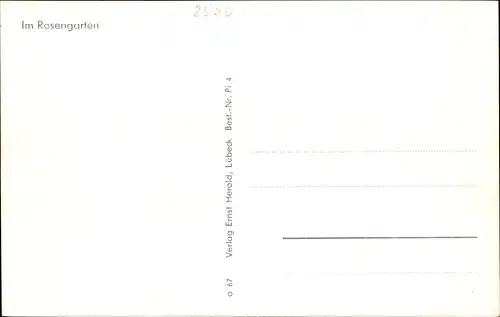Ak Pinneberg in Holstein, Im Rosengarten