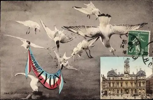 Ak Lyon Rhône, Möwen mit Fahne, Souvenir