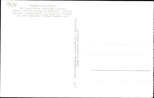 Ak Diethardt Taunus, Stadtpanorama, Gasthaus Crecelius, Inh. E. Meyer