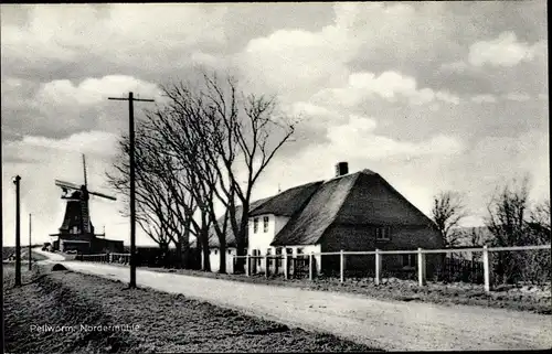 Ak Pellworm in Nordfriesland, Blick zur Nordermühle, Haus mit Reetdach
