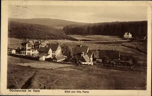 Ak Hahnenklee Bockswiese Goslar im Harz, Blick von Villa Maria