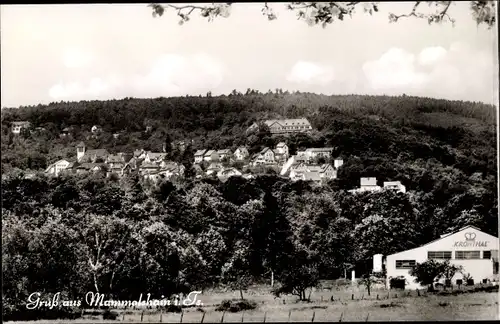 Ak Mammolshain Königstein im Taunus, Panorama