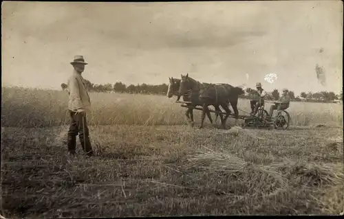 Foto Ak Bauern mit Pferdepflug auf dem Feld