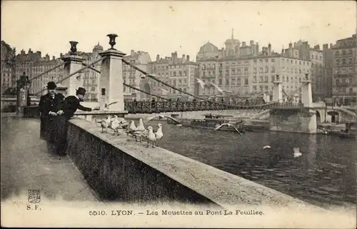 Ak Lyon Rhône, Les Mouettes au Pont Le Feuillee