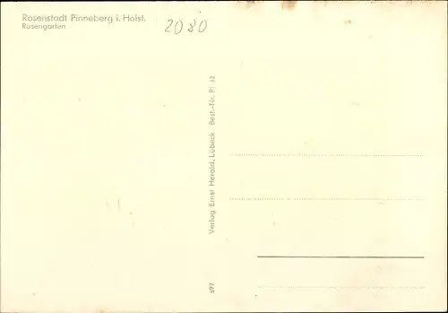 Ak Pinneberg in Holstein, Rosengarten