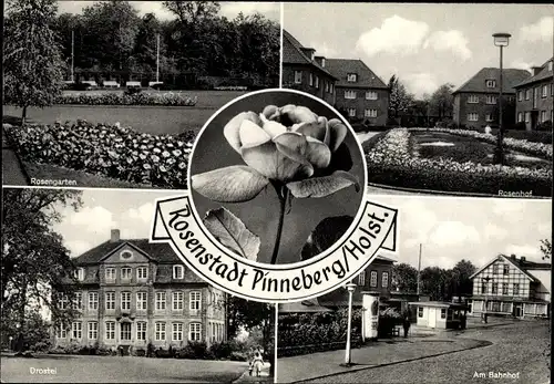 Ak Pinneberg in Holstein, Rosengarten, Bahnhof, Rosenhof, Drostei