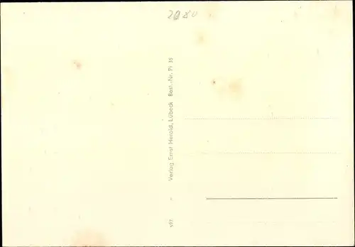 Ak Pinneberg in Holstein, Rosengarten, Bahnhof, Rosenhof, Drostei