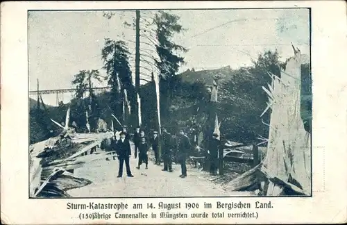 Ak Müngsten an der Wupper Wuppertal, Sturm Katastrophe, 14. August 1906, Tannenallee