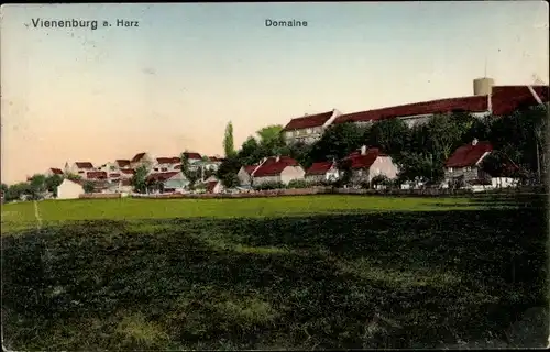 Ak Vienenburg Goslar am Harz, Domaine