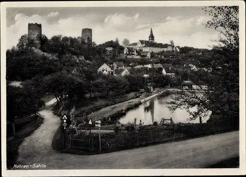 Ak Kohren Sahlis Frohburg Sachsen, Gesamtansicht, Burg, Teich